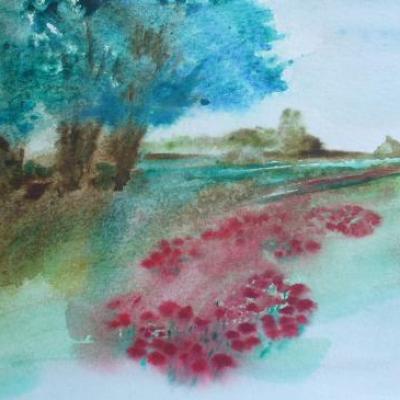 champs de coquelicots  24x32cm  25€