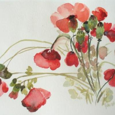 20x30cm petits coquelicots VENDU