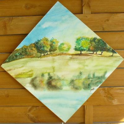 50cm x 50cm  paysage 35€