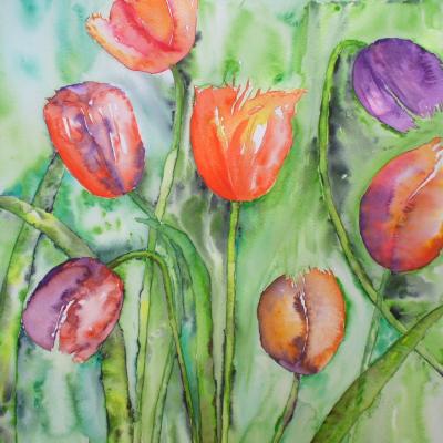 35 x 35 cm tulipes violettes (collé sur bois) 45€