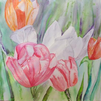 35 x 35 cm tulipes 45€