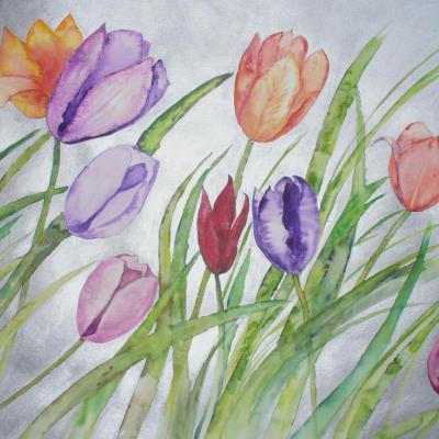 50x65 cm  tulipes multicolores 50€